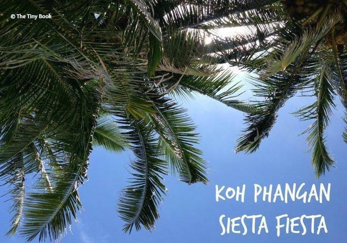 Palms trees Koh Phangan.