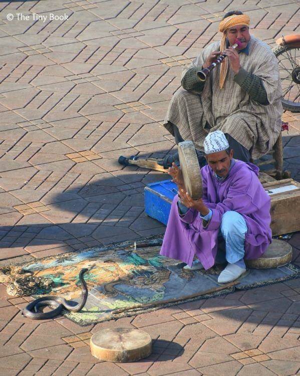 Snake charmers and cobras at Place Jemaa el Fnaa. Avoid scams in Marrakech