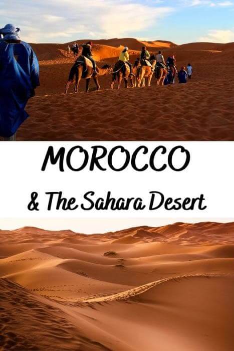 Camel Ride and Berber Tent - SAHARA