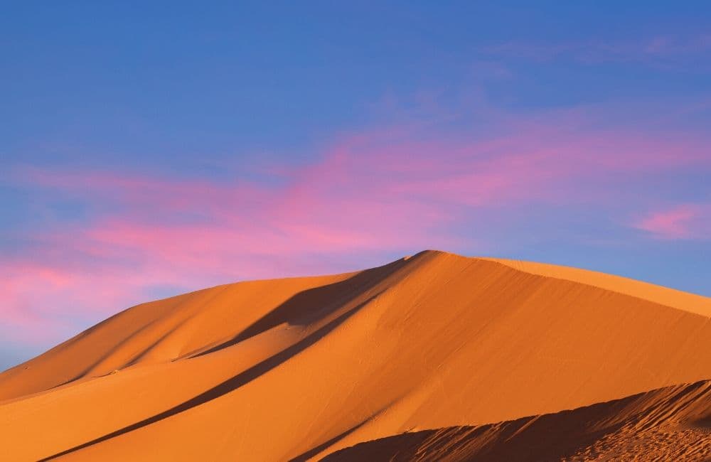 Sahara Desert Trip