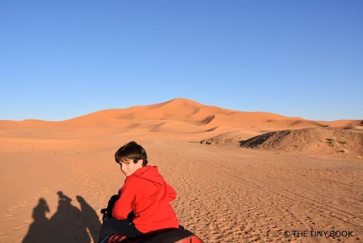 Kid on a dromedary, Morocco desert