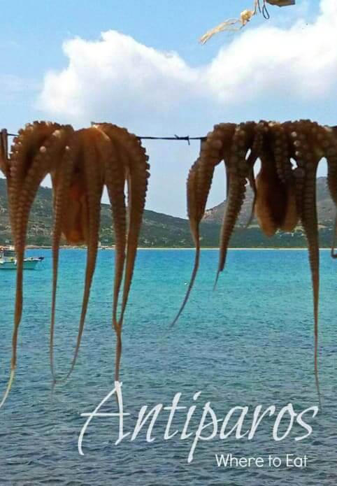 Where to eat in Antiparos -greece - octopus, promotional pin