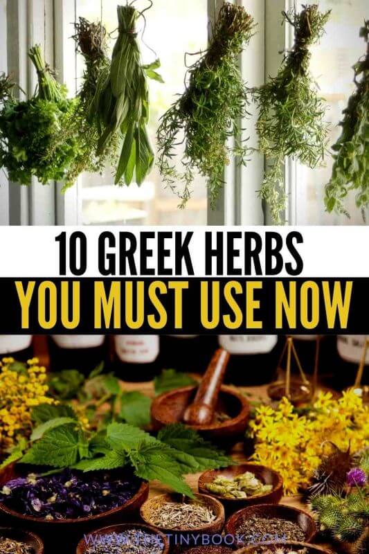 Herbs from Greece