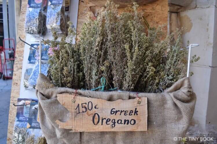 Greek oregano - herbs in Greece