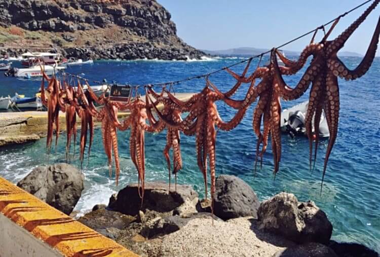 Octopus hanging under the sun. (Source: Ammoudi Fish Tavern, Santorini).