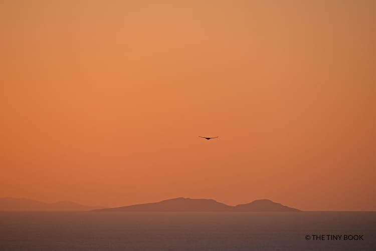 Sunset in Santorini.
