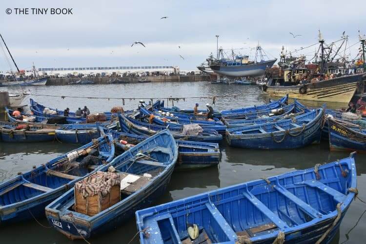 Port Essaouira, Morocco.