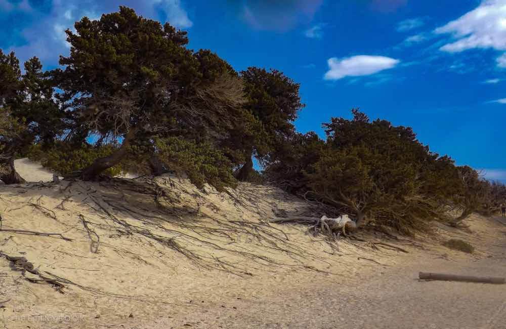 Unique Things to Do in Ierapetra For An Incredible Trip to South Crete! 30 ierapetra ierapetra