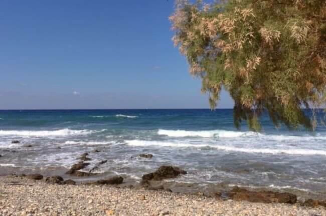 Stunning Beaches in East Crete (Lasithi Region): Complete Insider's Guide 9 Beaches in East Crete sea, waves, pebbles, beach, tree - Milatos East Crete