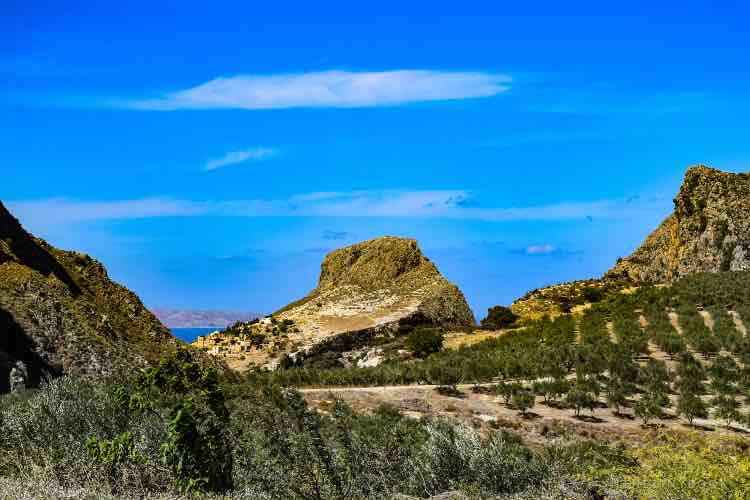 the best olive oil from crete