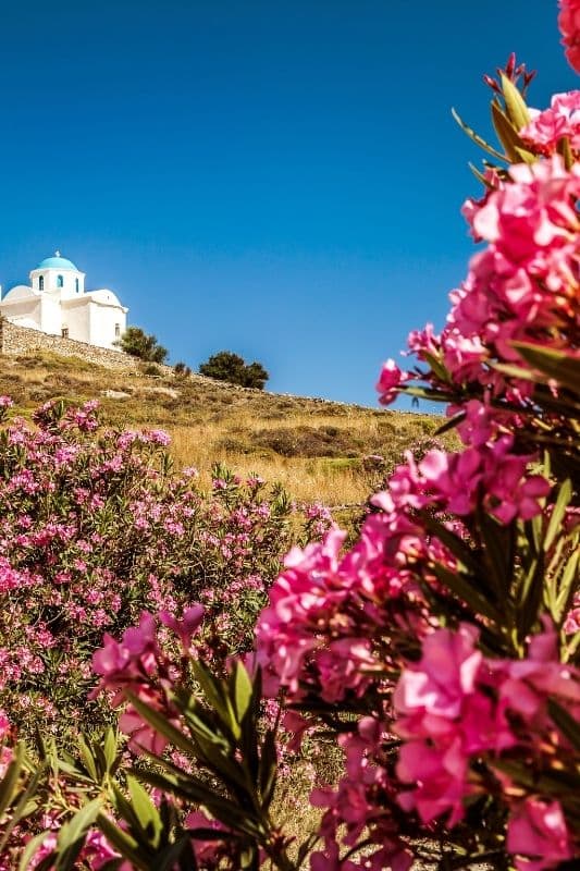 Travel the Greek Islands: How to Get to Paros the Easy Way! 8 how to get to Paros how to get to Paros