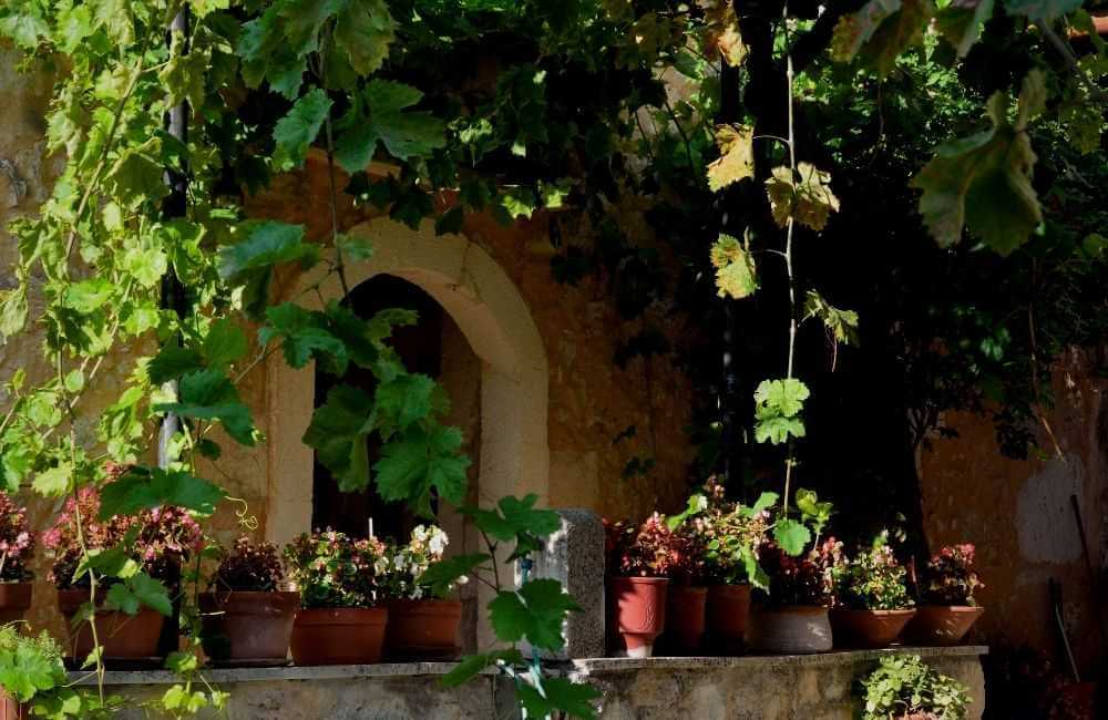 A Blooming Island: The Best Things to Do in Crete in Spring! 9 Crete in spring Crete in spring