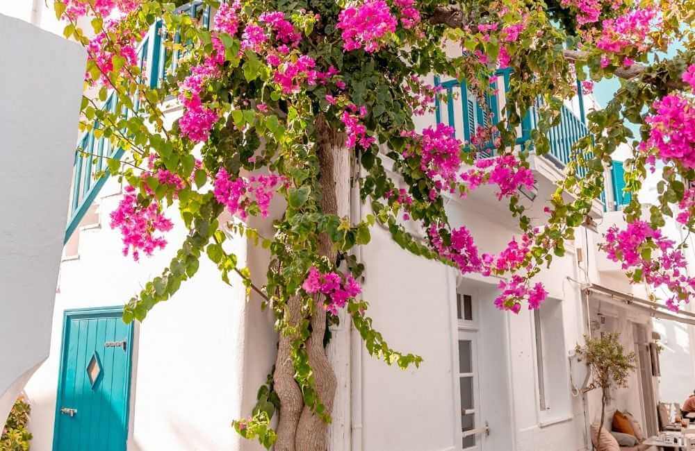 airbnbs in Paros