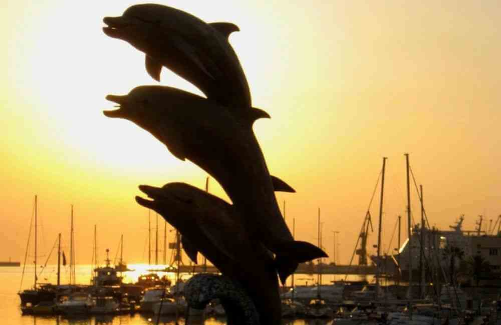free things to do in heraklion - Heraklion, Crete Dolphins