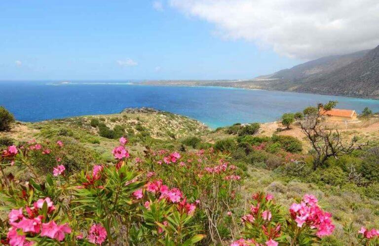 A Blooming Island: The Best Things to Do in Crete in Spring! - The Tiny ...