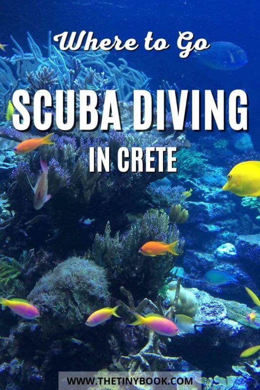 Top Spots for Scuba Diving in Crete