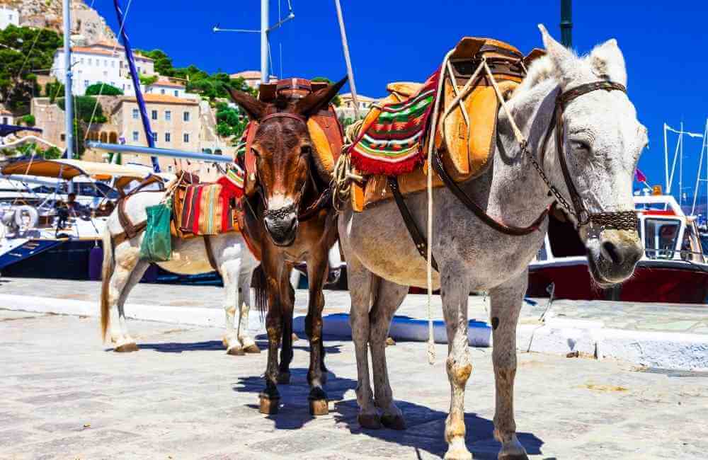 9+1 Best Greek Islands for Mature Travelers That You Have to Visit! 20 Greek Islands for Mature Travelers Greek Islands for Mature Travelers