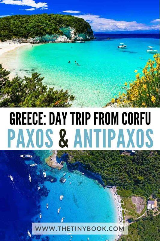 Paxos and Antipaxos with Children