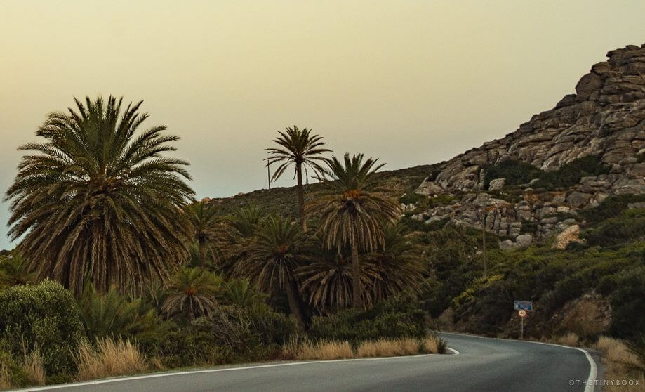 Road to vai - Vai Palm Beach, Crete