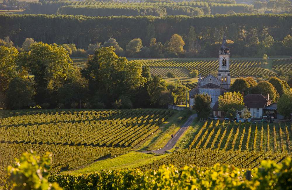 Things to do in Bordeaux: Vineyard landscape-Vineyard south west of France-Sauternes-Loupiac