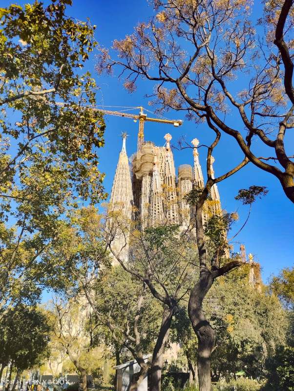 Great Things to Do in Barcelona in Winter for a Top Vacation in Europe! 4 Barcelona in winter Barcelona in winter