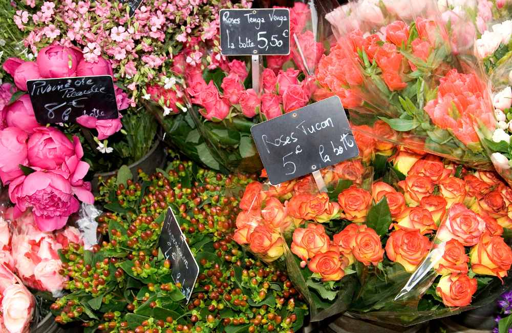 Best Street Markets in Paris for Gourmet (and Curious) Souvenir Hunting in France! 13 street markets in paris street markets in paris