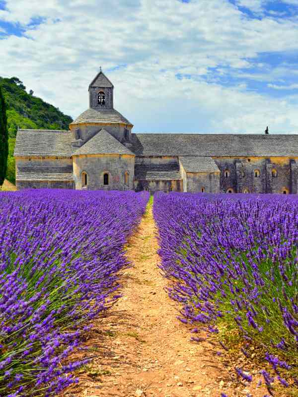 Great Things to Do in Aix en Provence, Southern France's Most Enchanting Village! 50 Things to Do in Aix en Provence Things to Do in Aix en Provence