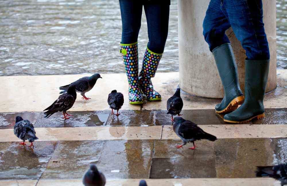 Unique Things to Do in Venice in Winter that you Can’t Do in Any Other Season 23 Venice in Winter Venice in Winter