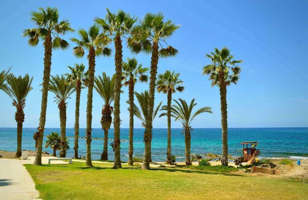 Best 5-star hotels in Paphos, Cyprus.