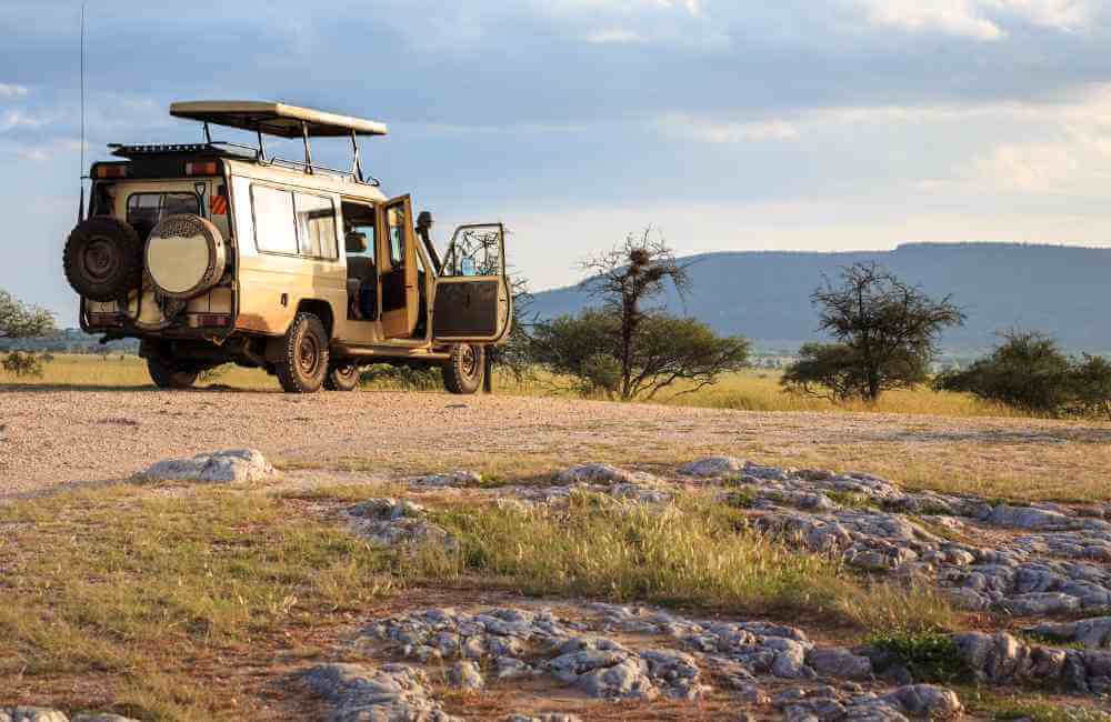 safari in crete