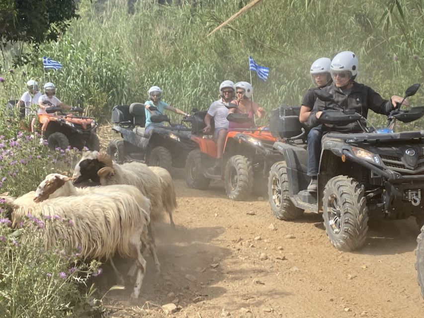 safari in crete