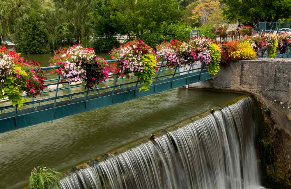 things to do in Dijon