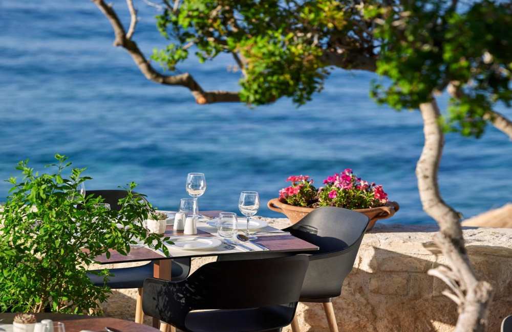 pet-friendly hotels in crete
