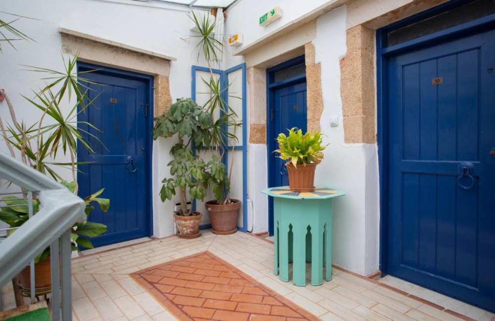 pet-friendly hotels in crete