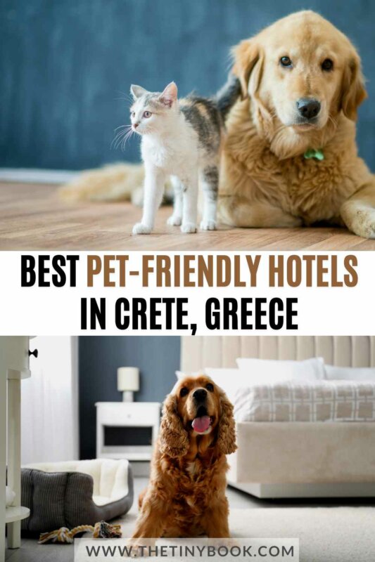 pet-friendly hotels in crete