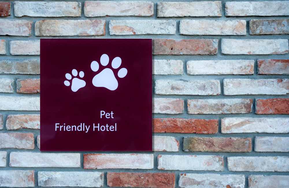 pet-friendly hotels in crete