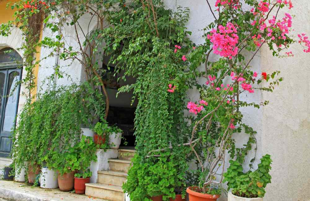 Panormos, Crete: Complete Guide by a Local 35 panormos crete panormos crete