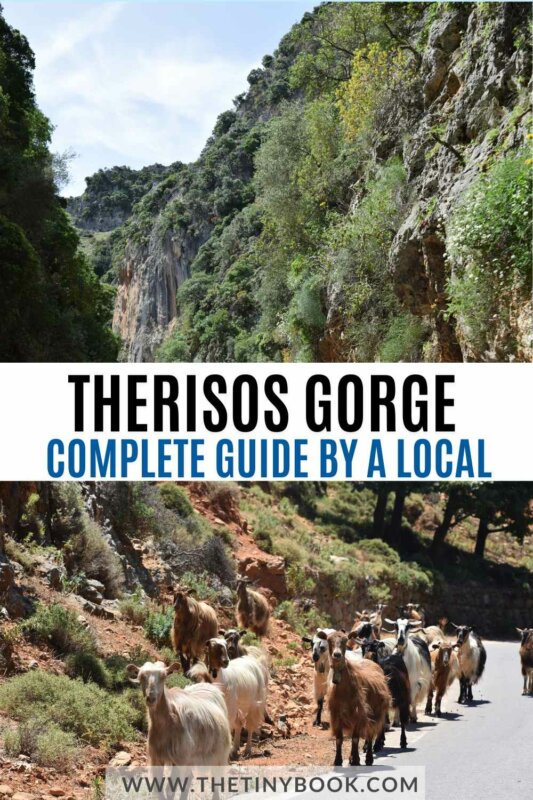 Therisos Gorge, Crete