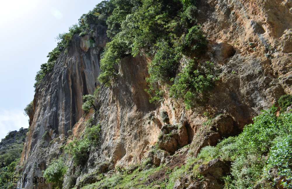 Therisos Gorge: Complete Guide by a Local (A Fantastic Day Trip From Chania!) 3 therisos gorge therisos gorge