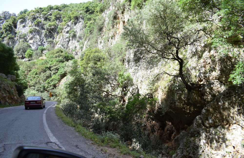 Therisos Gorge: Complete Guide by a Local (A Fantastic Day Trip From Chania!) 10 therisos gorge therisos gorge