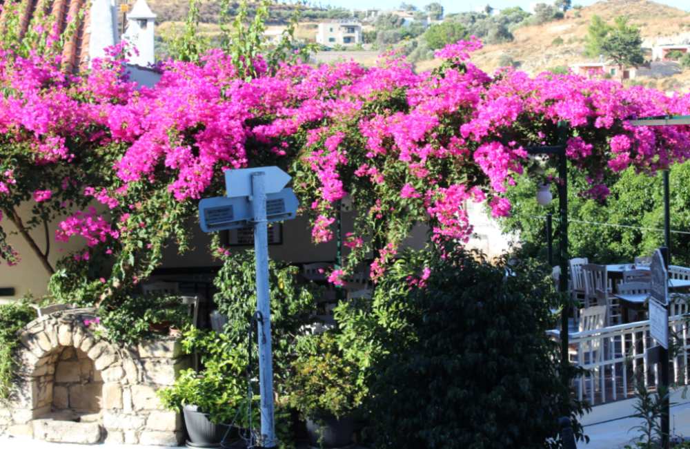 52 Spectacular Things to Do in Heraklion (Region) for a Great Vacation in Crete! 30 things to do in heraklion things to do in heraklion