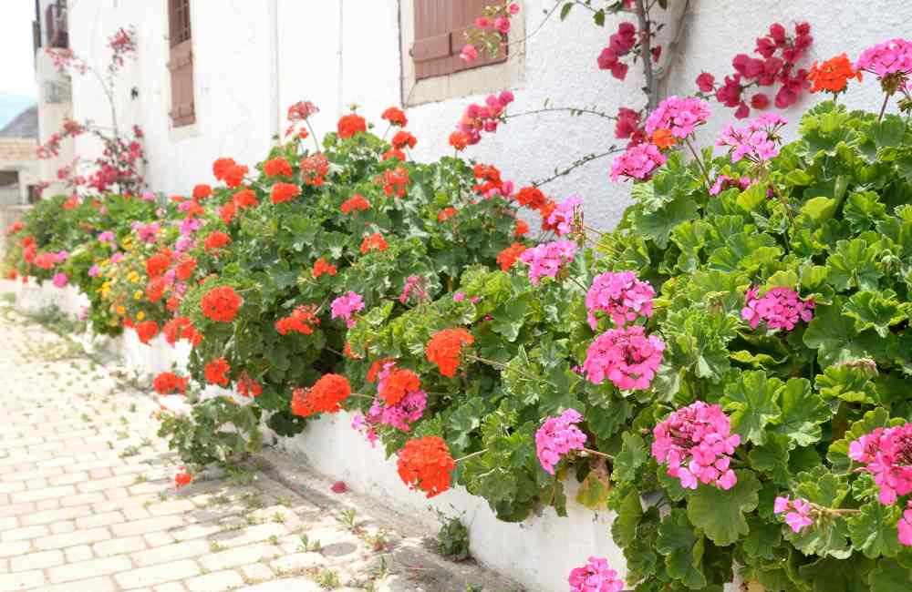 things to do in hersonissos