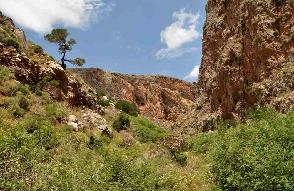 things to do in lasithi