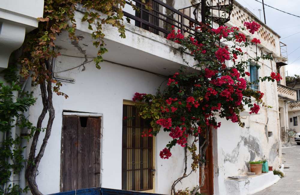 Kritsa, Crete: Complete Guide by a Local 13 kritsa crete kritsa crete