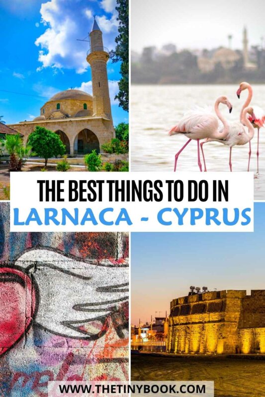 The Most Fantastic Things to Do in Larnaca, Cyprus! 1 things to do in larnaca THINGS TO DO IN LARNACA, CYPRUS