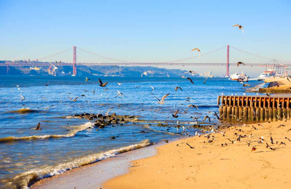 lisbon in winter