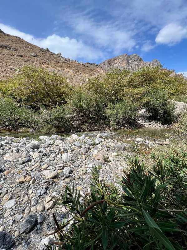 Kourtaliotiko Gorge, Crete: Complete Guide by a Local! 6 kourtaliotiko gorge kourtaliotiko gorge