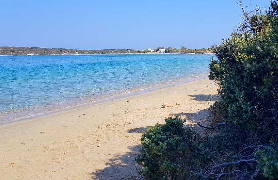 best beaches in paros