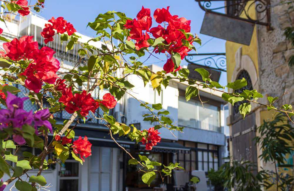 Best Hotels in Limassol, Cyprus 3 best hotels in limassol best hotels in limassol