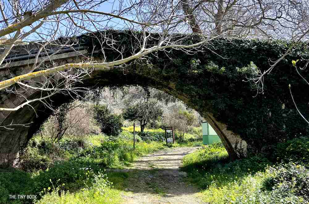 A Local's Guide to Richtis Gorge: An Unforgettable Adventure in Crete 1 richtis gorge richtis gorge